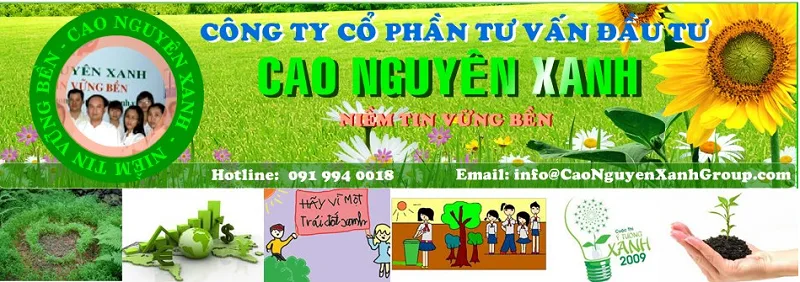 Logo công ty môi trường Cao Nguyên Xanh