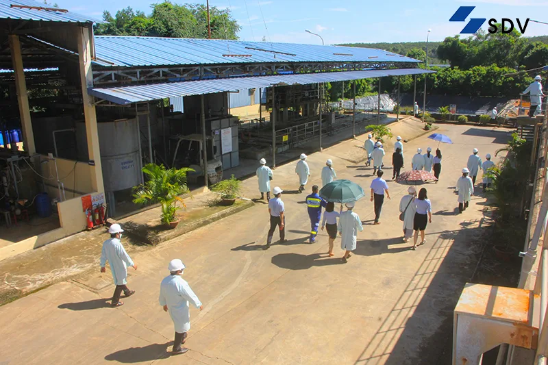 lựa chọn công ty tư vấn môi trường