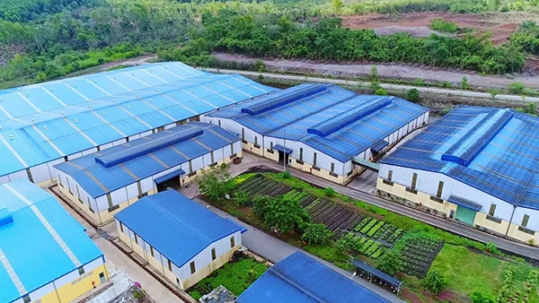 Quy trình tái chế rác thải y tế chuẩn quy định Bộ Y tế