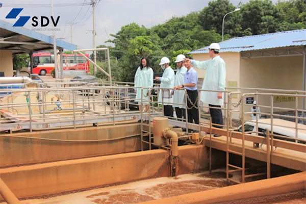 Khảo sát thực địa môi trường