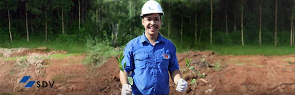 Tư vấn môi trường giúp tối ưu hóa chi phí vận hành